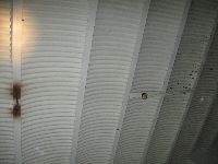 ceiling